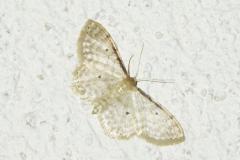 DSC00390