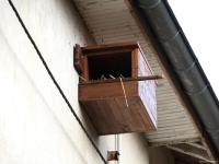 Nichoir à Crécerelle