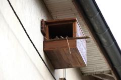 Nichoir à Crécerelle, Drôme des collines