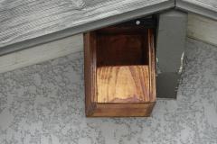 Nichoir à Rougequeue installé sous le toit d'une maison, Drôme des collines.
