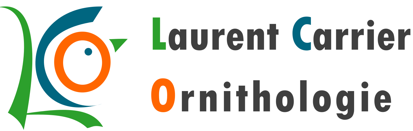 Logo Laurent Carrier Ornithologie